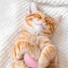 Home Pet Smart Cat Toys Interactive Ball