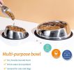 Beveled Dogs Bowl Stainless Steel Removable Rubber Ring Non-Slip Bottom Pet Feeder Bowl Water Dish For Dog Cat